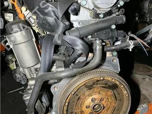 Engine SEAT LEON (1M1)  | BP13043784M1 