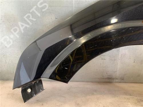 Left front fenders FORD FUSION (JU_) 1.6 TDCi | BP29284992C41 
