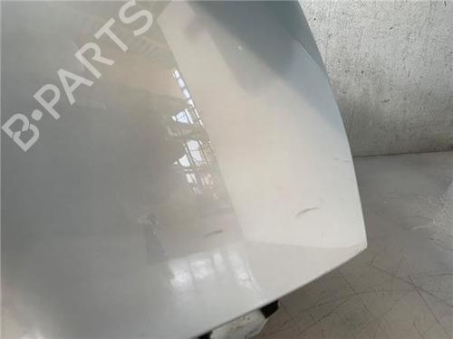 Right front fenders RENAULT SCÉNIC II (JM0/1_)  | BP18682479C42 