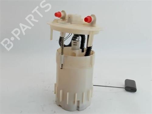 Fuel pump RENAULT MEGANE II (BM0/1_, CM0/1_)  | BP10660580M76 