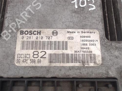 Electronic module PEUGEOT 206 Hatchback (2A/C)  | BP13396527M83 