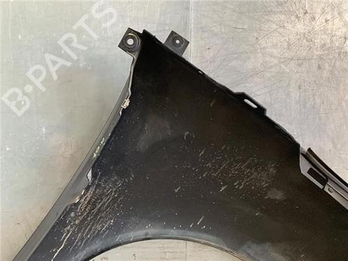 Left front fenders RENAULT GRAND SCÉNIC III (JZ0/1_) 1.5 dCi (JZ0B, JZ07) | BP29134658C41 