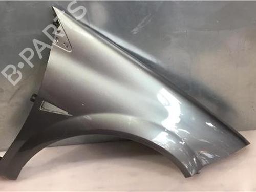 Used Right front fenders RENAULT MEGANE II (BM0/1_, CM0/1_) [2001-2012]  14339237