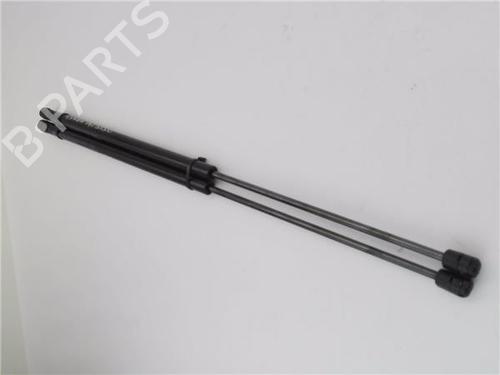Gassdemper Bakluke CITROËN XSARA PICASSO (N68) 2.0 HDi (90 hp) 24038068