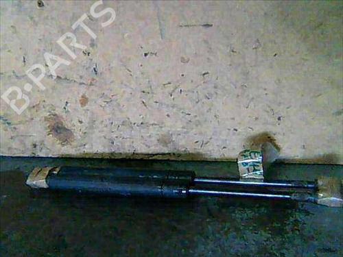 Used Hood lift support BMW 3 (E46) 320 d (136 hp) 14335386