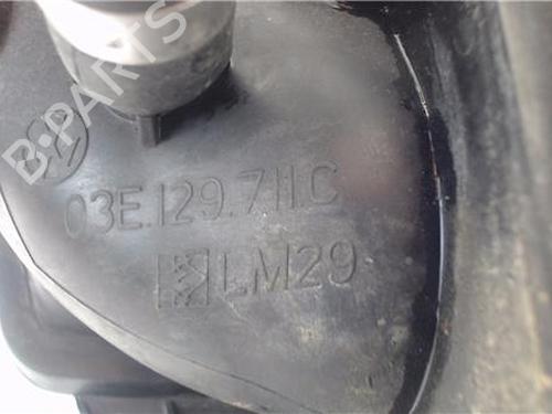 Intake manifold VW POLO (9N_, 9A_)  | BP23841519M70 