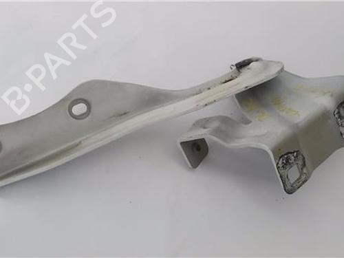 Hinge/Door check strap NISSAN QASHQAI II (J11, J11_)  | BP25719179C146 