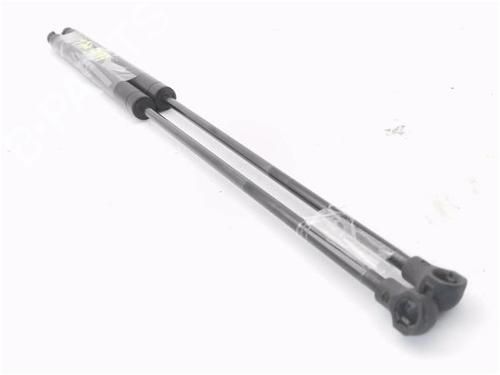 Tailgate lift support BMW 3 Compact (E46)  | BP29574387C138 