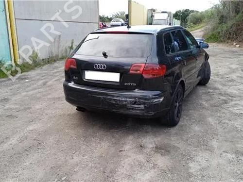 Electronic module AUDI A3 (8P1) 2.0 TDI 16V | BP25718917M83 