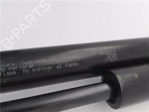 Tailgate lift support JEEP GRAND CHEROKEE I (ZJ, ZG)  | BP29754454C138 