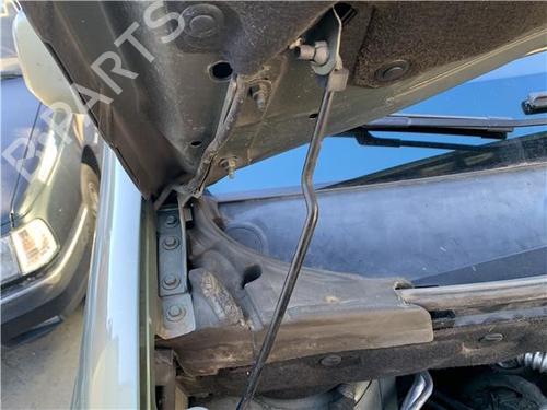 Hinge/Door check strap PEUGEOT PARTNER Tepee 1.6 HDi 16V | BP32451029C146