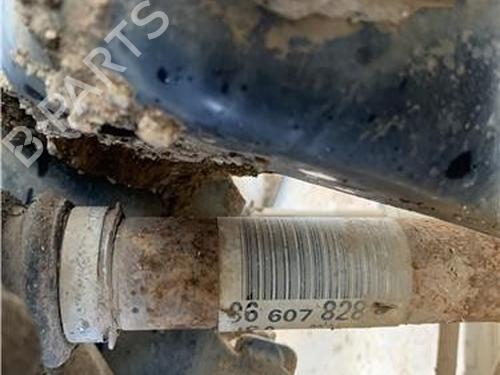 Right front driveshaft PEUGEOT PARTNER MPV (5_, G_)  | BP32419491M39 