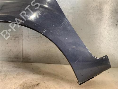 Left front fenders FORD FIESTA V (JH_, JD_) 1.4 TDCi | BP29614138C41 