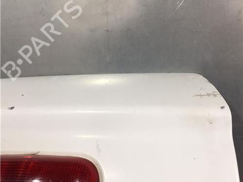 Tailgate RENAULT KANGOO Express (FC0/1_)  | BP9635651C6 