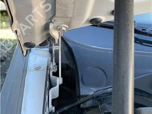 Hinge/Door check strap BMW 3 (E90) 330 d | BP32418668C146 