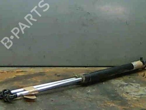 Used Other DAEWOO LANOS (KLAT) 1.3 (75 hp) 14333830