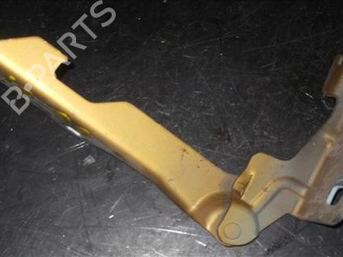 Used Hinge/Door check strap RENAULT CLIO II (BB_, CB_) [1998-2016]  14335961