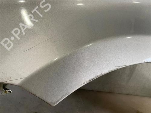 Left front fenders FIAT IDEA (350_)  | BP26955929C41