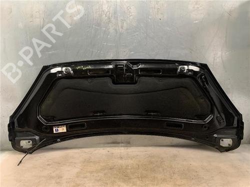 Hood PEUGEOT 1007 (KM_)  | BP16936923C1
