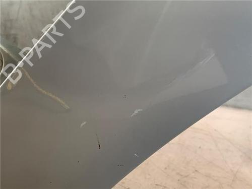 Right front fenders RENAULT SCÉNIC II (JM0/1_)  | BP18682479C42 