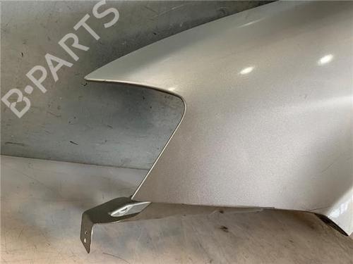 Left front fenders FIAT IDEA (350_)  | BP26955929C41