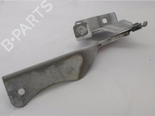Hinge/Door check strap NISSAN QASHQAI II (J11, J11_)  | BP25719179C146 