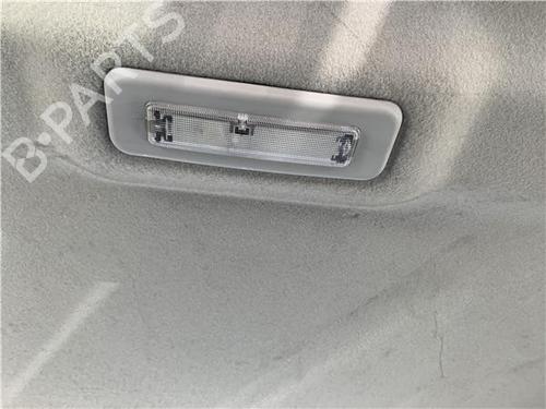 Interior roof light FORD TRANSIT CONNECT (P65_, P70_, P80_) 1.8 TDCi | BP32450666I8 