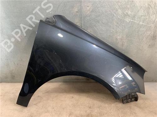 Used Right front fenders VW POLO (9N_, 9A_) [2001-2014]  18166487