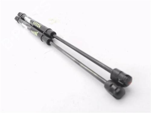 Tailgate lift support FIAT BRAVO I (182_) 1.8 GT (182.AC) | BP23169120C138 