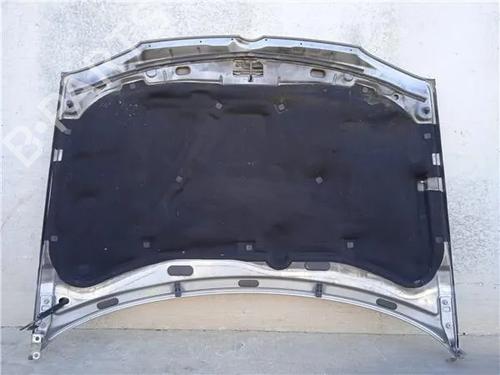 Hood VW GOLF IV (1J1) 1.9 TDI | BP17790525C1 