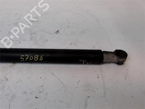 Hood lift support AUDI A3 (8P1) 2.0 TDI 16V | BP14343689C139 