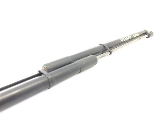 Tailgate lift support FORD C-MAX II (DXA/CB7, DXA/CEU)  | BP30555287C138 