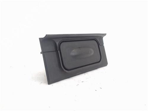 Tailgate handle RENAULT CLIO III (BR0/1, CR0/1)  | BP17240081C132 