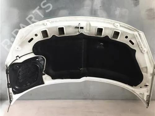 Hood PEUGEOT 206+ (2L_, 2M_)  | BP10010267C1