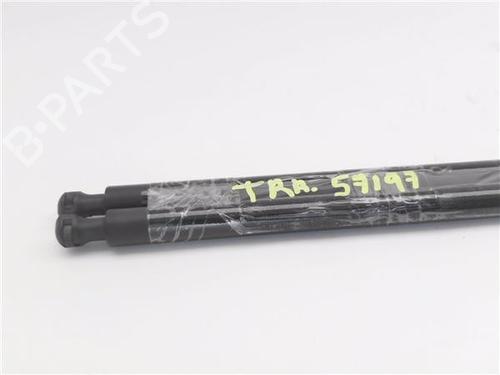 Tailgate lift support BMW 3 Compact (E46)  | BP29574387C138 