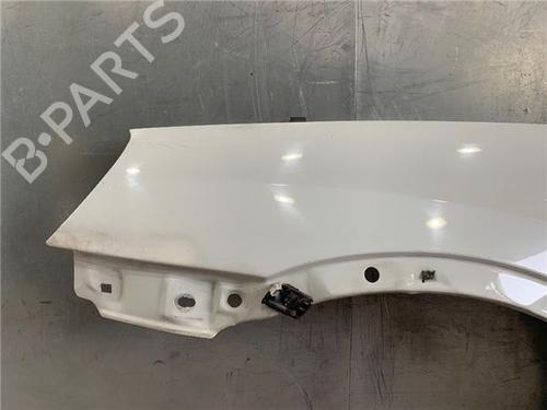Left front fenders OPEL COMBO Box Body/MPV 1.7 DTI 16V | BP13746521C41 