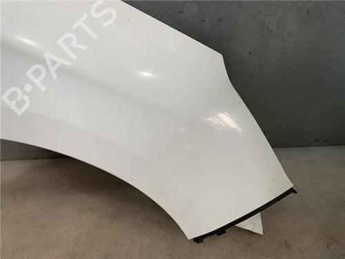 Right front fenders CITROËN C4 II (NC_)  | BP23408847C42 