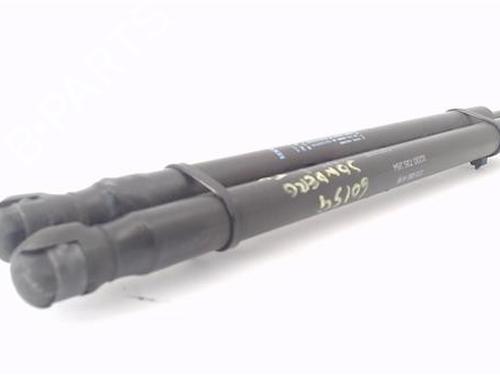 Tailgate lift support DACIA SANDERO 1.4 (BS0C, BS0A, BS0G, BS1F, BS0E) | BP29134633C138 