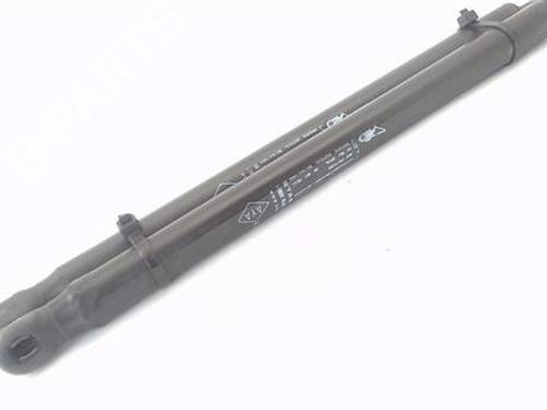 Tailgate lift support DACIA SANDERO 1.4 (BS0C, BS0A, BS0G, BS1F, BS0E) | BP29134633C138 