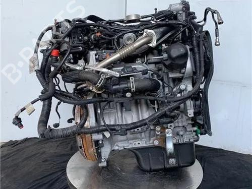 Motor FORD FOCUS III 1.5 TDCi (120 hp) 23442404