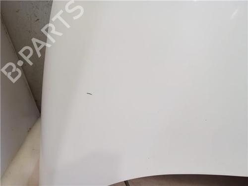 Hood FORD FIESTA VI (CB1, CCN) 1.25 | BP22193627C1 
