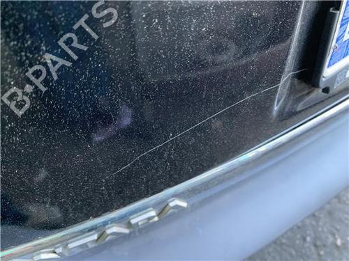 Tailgate OPEL ANTARA A (L07) 2.2 CDTi | BP29134824C6 