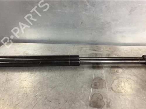 Used Other RENAULT MEGANE II (BM0/1_, CM0/1_) [2001-2012]  14338940