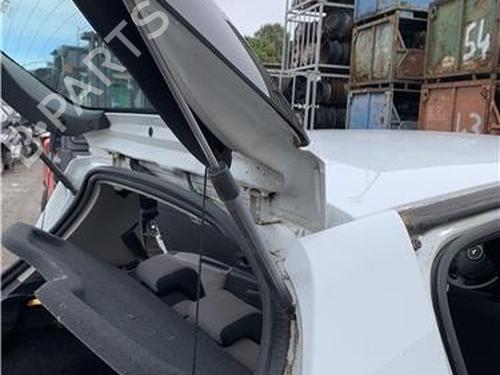 Tailgate lift support RENAULT CLIO III (BR0/1, CR0/1)  | BP32419602C138 