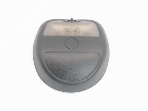 Interior roof light RENAULT KANGOO (KC0/1_) D 55 1.9 (KC0D) | BP16353062I8 