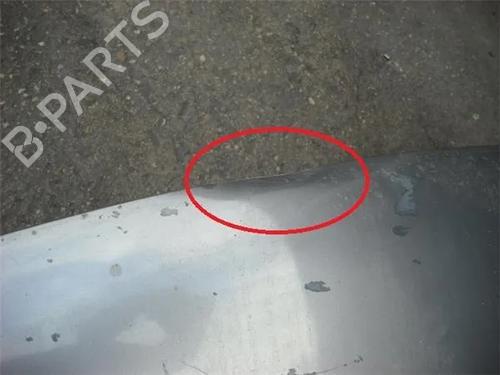 Hood NISSAN TERRANO II (R20) 2.7 TDi 4WD | BP9683431C1 