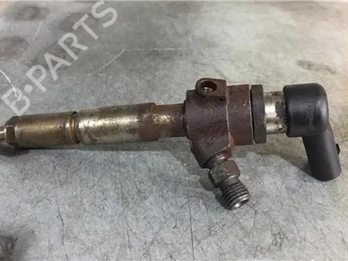 Injector FORD TRANSIT CONNECT (P65_, P70_, P80_)  | BP15248041M100 