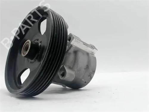 Used Steering pump RENAULT LAGUNA II (BG0/1_) 2.0 16V (BG00, BG0K, BG0P, BG0W) (135 hp) 11041738