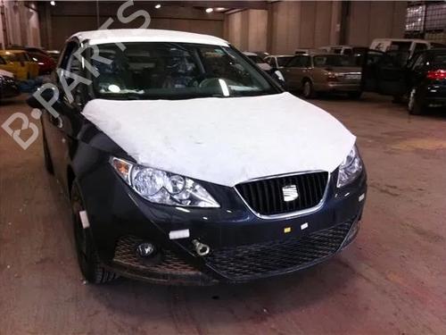 Catalyst SEAT IBIZA IV (6J5, 6P1)  | BP9765007M10 