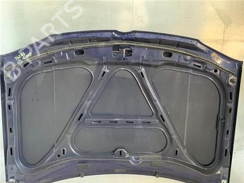 Hood VW GOLF IV (1J1) 1.6 16V | BP13414278C1 